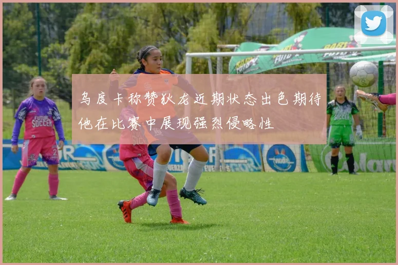 乌度卡称赞狄龙近期状态出色期待他在比赛中展现强烈侵略性